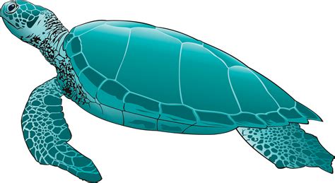 Underwater Turtles Clip Art