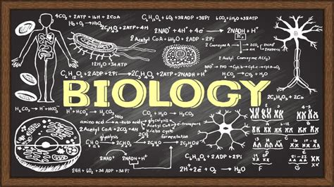 Biology - Class 12 - Maharashtra Board - Class N Study