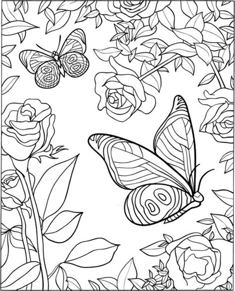 Detailed Butterfly Coloring Pages For Adults - Download it and color away! - bmp-troll