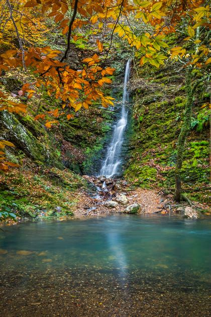 Damon Shaw | Fall Color in Arkansas: Part II