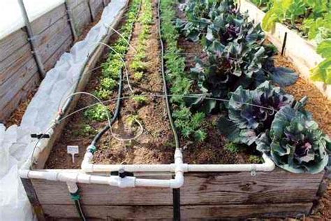 How to Build a Drip Irrigation System – Mother Earth News