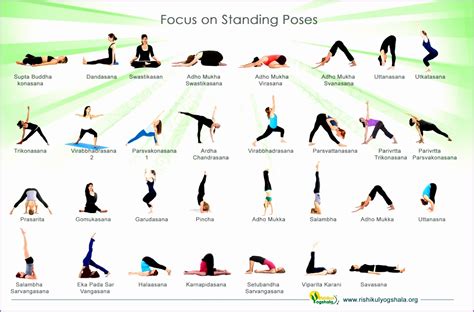 7 Basic Yoga Poses - Work Out Picture Media - Work Out Picture Media