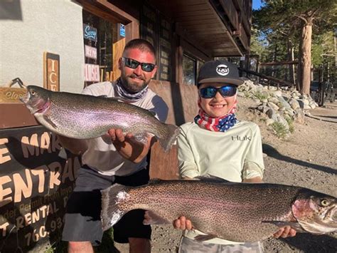 Lake Mary Fish Report - Mammoth Lakes, CA (Mono County)