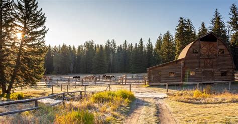 Trail Creek Ranch, Wyoming, USA - Guest Ranch vacation | RanchWeb.com