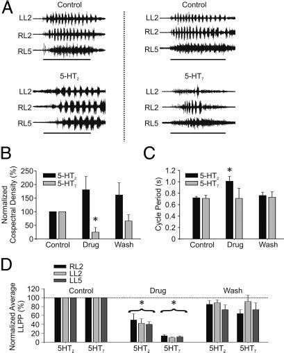 5-HT receptor agonists can modulate afferent-evoked rhythmicity. A:... | Download Scientific Diagram