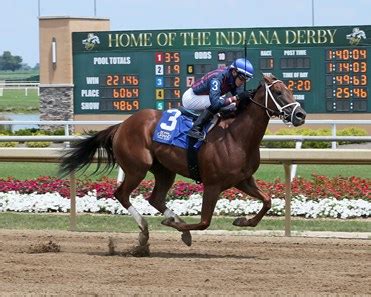 Unnecessary Drama - Horse Profile - BloodHorse