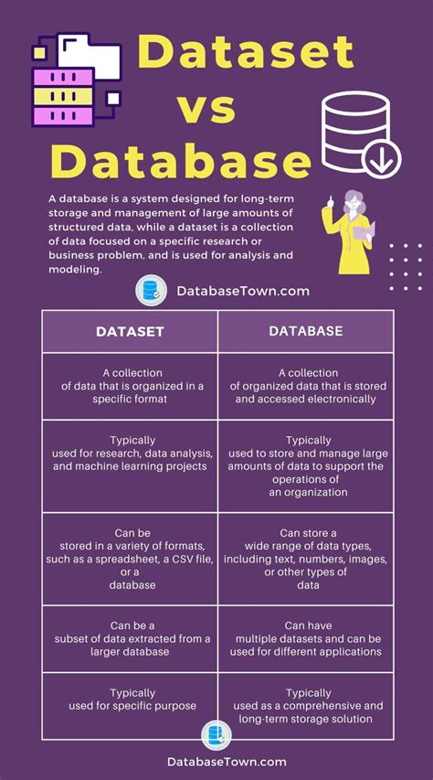 Dataset vs Database (Key Differences) - DatabaseTown