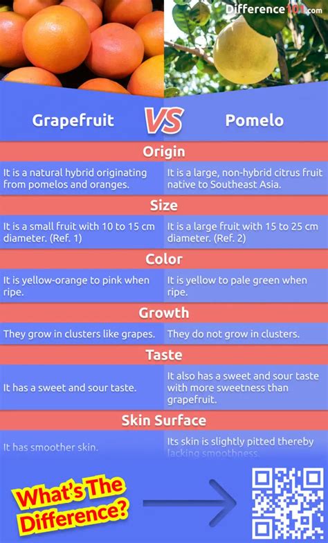 Grapefruit vs Pomelo: 6 Key Differences, Pros & Cons, Examples ...