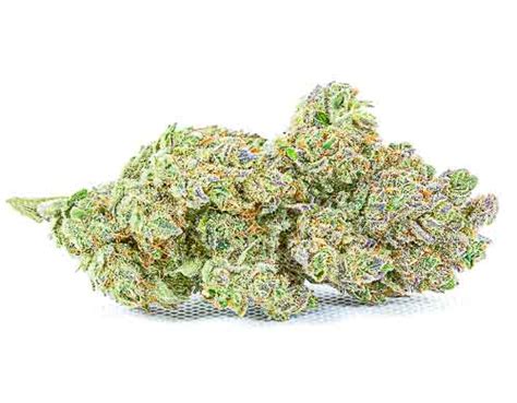 Buy CBD Flowers - the best legal Cannabis online! | Justbob