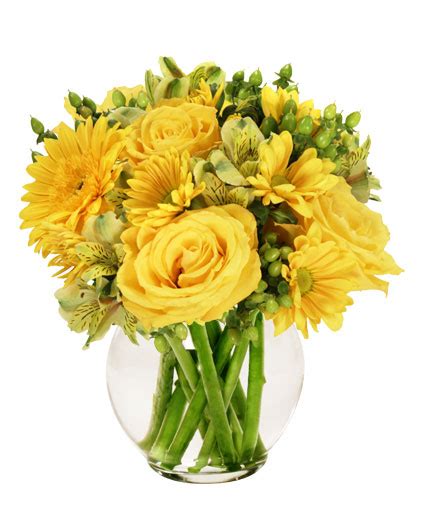 Sunshine Perfection Floral Arrangement | Just Because | Flower Shop Network