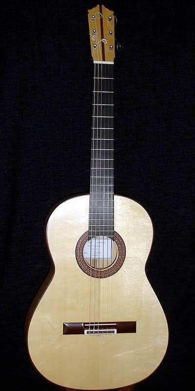 flamenco guitar | Guitar, Music instruments, Instruments