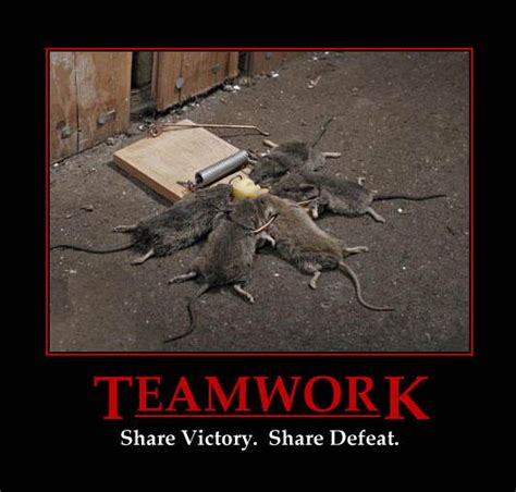 Master Marf: Motivational Monday: Teamwork