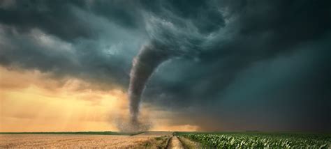 44 Extreme Tornado Facts and Trivia | FactRetriever