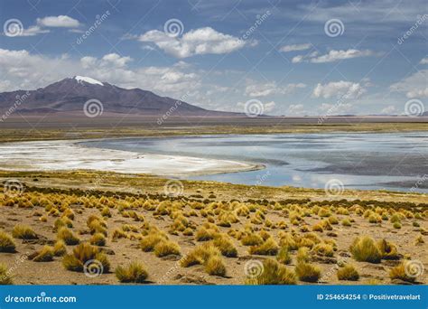 Salar De Atacama Volcanic Landscape and Salt Lake in Atacama Desert, Chile Stock Photo - Image ...