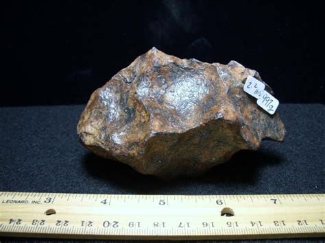 Large Complete Gibeon Meteorite (050819k) - The Stones & Bones Collection