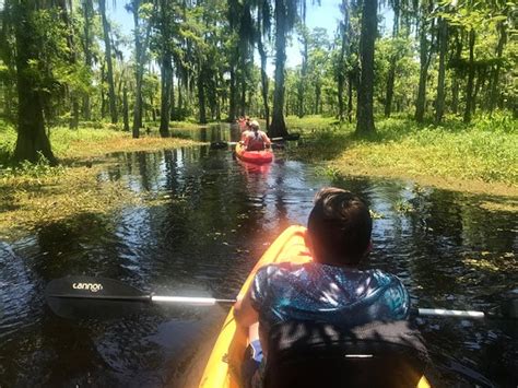 Kayak Swamp Tours (New Orleans) - 2019 All You Need to Know BEFORE You Go (with Photos ...