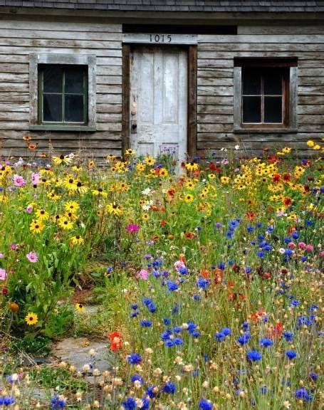 Wildflower Garden Pictures, Photos, and Images for Facebook, Tumblr ...