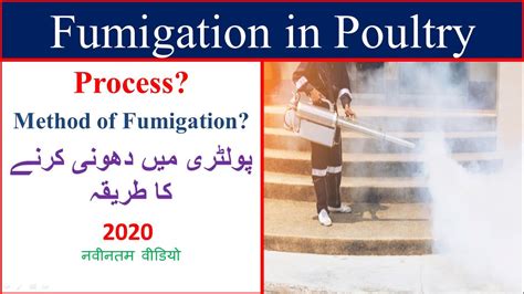 Fumigation method at Poultry farm | fumigation process | latest techniques of Fumigation| - YouTube