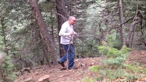 Morel mushroom hunting in Colorado - YouTube