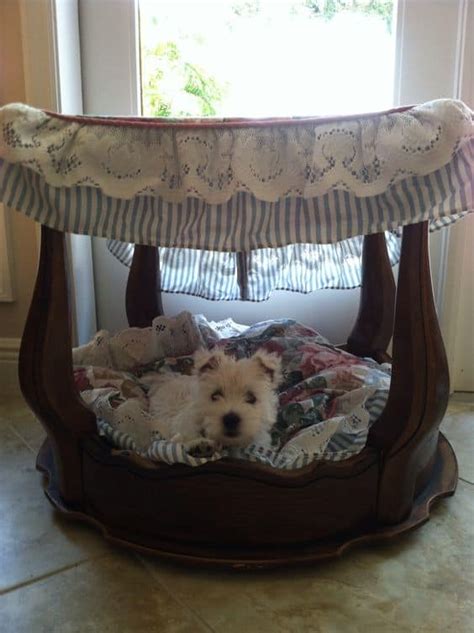 11Epic Dog Canopy Bed Ideas | Ann Inspired