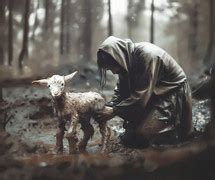 Jesus rescues a little lamb who got lost in the... — Photo — Lightstock