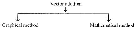 Basic Vectors Formulas List | Memorize Formulae for Vectors Easily