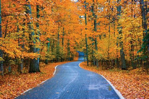 12 of Michigan’s most dazzling fall color drives - mlive.com