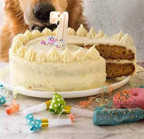 Dog Cake recipe for Dozer's birthday! | RecipeTin Eats