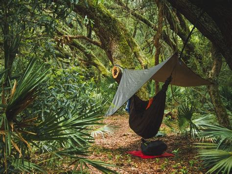 Cumberland Island Camping Is Your Ticket to Rugged, Beachy Bliss