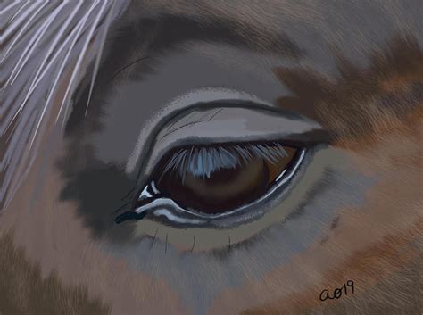 Horse Eye Digital Art by Amber Opphile