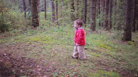 Adventurous Child Exploring Forest Alone Stock Footage SBV-313159385 - Storyblocks