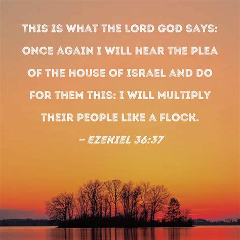 Ezekiel 36:37 This is what the Lord GOD says: Once again I will hear the plea of the house of ...