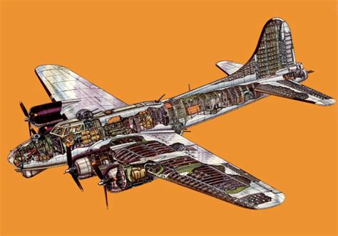 Boeing B-17 Flying Fortress Cutaway Drawing in High quality