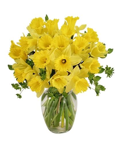 Dancing Daffodils in Season *availability may be limited in Texarkana, AR - Unique Flowers & Gifts