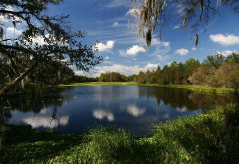 10 Florida State Parks to Visit in an RV | Lazydays RV