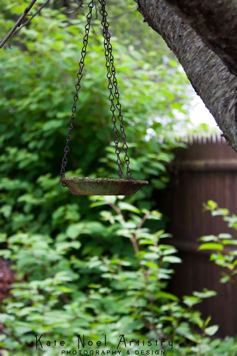 Hanging Bird Feeder.