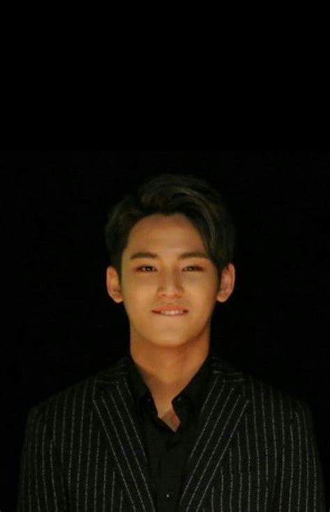 Mingyu Wallpapers - Wallpaper Cave