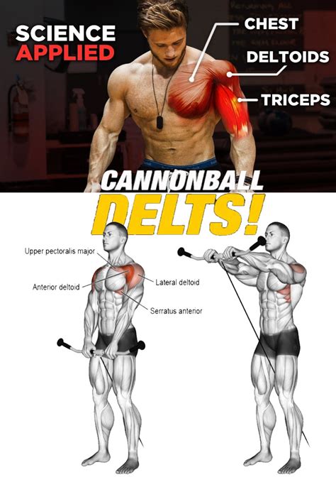 HOW TO ANTERIOR DELTS TRAINING