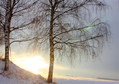 Schneewelt - Snow world | ho.ge | Flickr