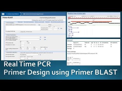 Mastering Primer Design For Chip Qpcr: A Step-By-Step Guide - ScienceSphere.blog