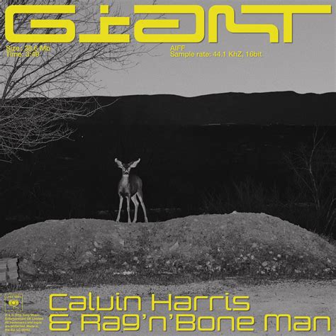 Download: Calvin Harris & Rag’n’Bone Man - Giant - Single [iTunes Plus AAC M4A] - Plus Premieres