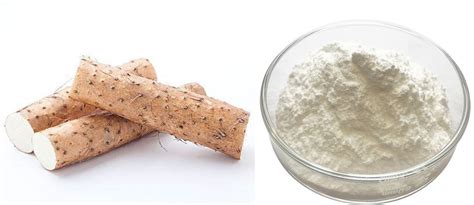 High Quality Wild Yam Root Extract Powder Diosgenin Manufacturers and ...