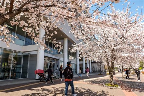 Konkuk university editorial photography. Image of pink - 157438897