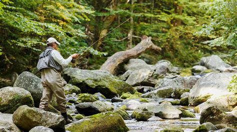 Shenandoah NP closed for fishing | Paflyfish