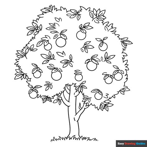 Orange Tree Coloring Page | Easy Drawing Guides