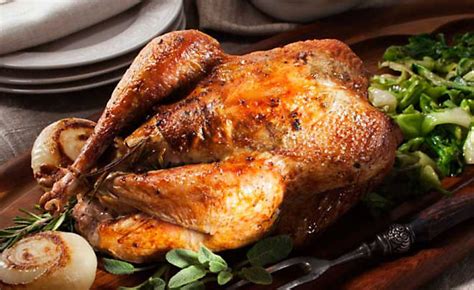 roast pheasant recipes