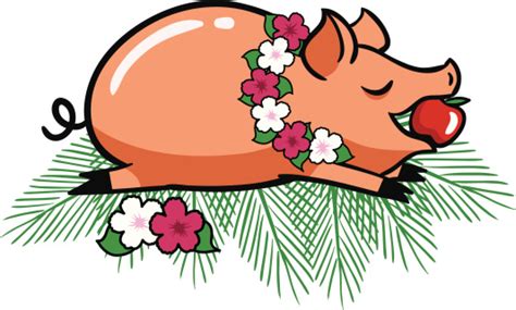 Roast Luau Pig Stock Illustration - Download Image Now - iStock