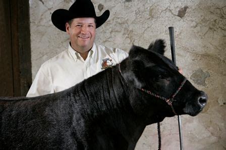 Grooming Cattle For Show | Show cattle, Showing livestock, Cattle