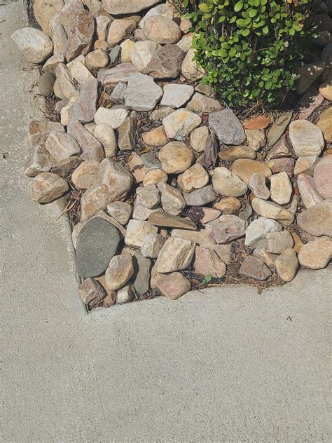 anyone know what this rock mix is called? : r/landscaping