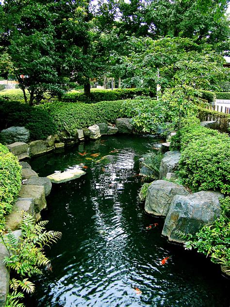 How To Build A Backyard Koi Pond | | The Garden and Patio Home Guide